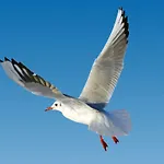 Ferienapartment Warnemuende 1